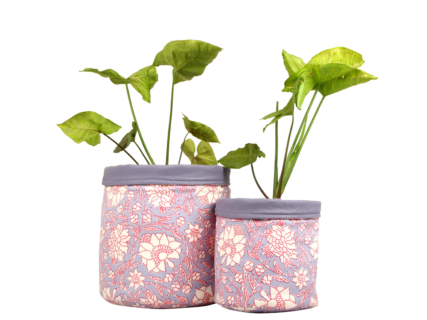 Lavender Pot Cover (Combo) | Pot cover | Ayuda Homes