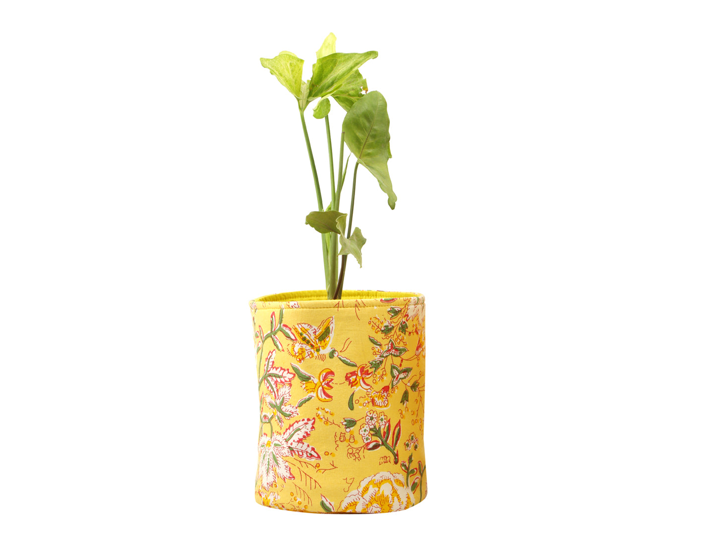 Marigold Pot Cover (Combo) | Pot cover | Ayuda Homes