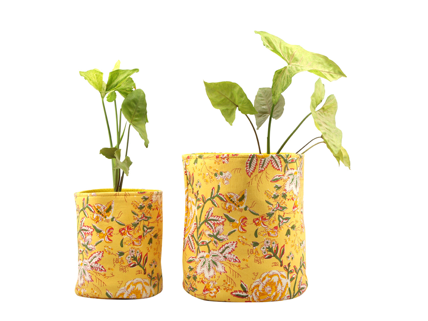 Marigold Pot Cover (Combo) | Pot cover | Ayuda Homes